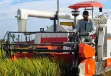 Sektor Pertanian Dominasi Lapangan Kerja Utama Penduduk Sultra Komisi II DPRD Kota Kendari Minta Distan Segera Masukan Usulan Kebutuhan Pertanian