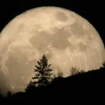 Fenomena Supermoon, Waspada Berlibur di Pantai Fenomena Supermoon, Waspada Berlibur di Pantai