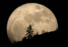 Fenomena Supermoon, Waspada Berlibur di Pantai Fenomena Supermoon, Waspada Berlibur di Pantai