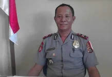 Penjual Daging Ini Curi Ternak Warga Lalu Dijual Lagi Iptu Saftu Dirma