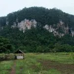 Ralat, Juli 2018 Konut Tuan Rumah PWD