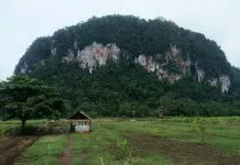 April 2018 Konut Tuan Rumah Jambore Nasional Ralat, Juli 2018 Konut Tuan Rumah PWD