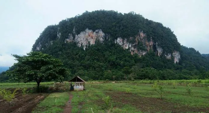 Ralat, Juli 2018 Konut Tuan Rumah PWD