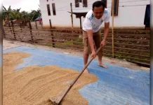 Gempita: Stok Melimpah, Sultra Tak Butuh Beras Impor Gempita: Stok Melimpah, Sultra Tak Butuh Beras Impor