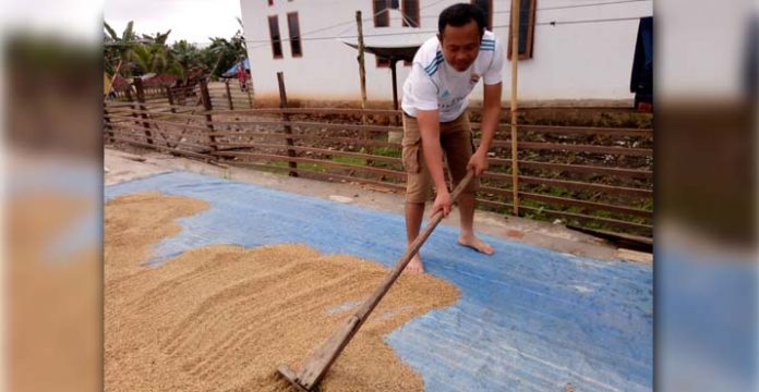 Gempita: Stok Melimpah, Sultra Tak Butuh Beras Impor