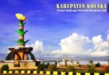 Kecuali Softball, 30 Cabor Porprov Digelar di Kolaka Porprov XIII kolaka