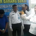 BNNP Sultra Musnahkan 810 Gram Ganja Asal Jakarta BNNP Sultra Musnahkan 810 Gram Ganja Asal Jakarta
