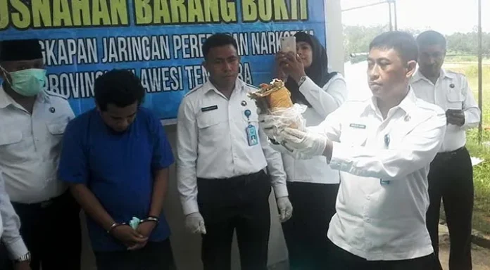 BNNP Sultra Musnahkan 810 Gram Ganja Asal Jakarta