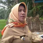 Asuransi Lahan Pertanian, Pemkot Kendari Tanggung 80 Persen Biaya Premi Kepala Dinas Pertanian dan Peternakan Kendari, Siti Ganef