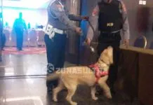 Pencabutan Nomor Urut Cagub, Dua Anjing Pelacak Bom Sterilkan Area Pencabutan Nomor Urut Cagub, Dua Anjing Pelacak Bom Sterilkan Area