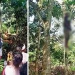 Pria Asal Muna Ditemukan Tewas Gantung Diri di Pohon Ketapang Pria Asal Muna Ditemukan Tewas Gantung Diri di Pohon Ketapang