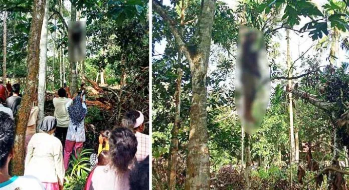 Pria Asal Muna Ditemukan Tewas Gantung Diri di Pohon Ketapang