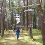 Hutan_Pinus_Samparona