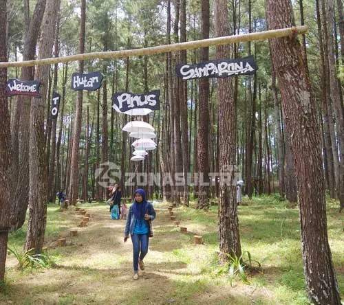 Wisata Alam Hutan Pinus Samparona, Pilihan Menarik Liburan Akhir Pekan