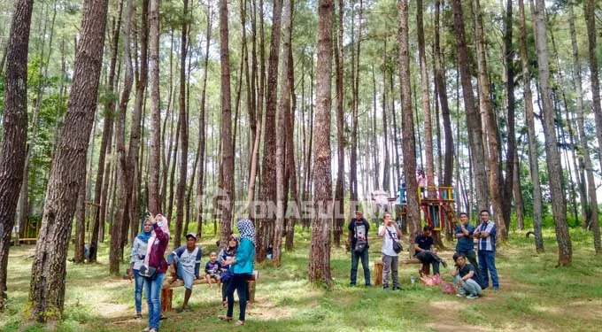 Wisata Alam Hutan Pinus Samparona, Pilihan Menarik Liburan Akhir Pekan