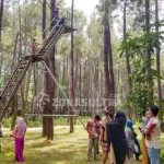 Hutan_Pinus_Samparona2