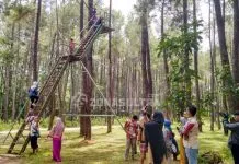 Hutan Pinus Samparona, Wisata Alam untuk Swafoto dan Bermain Wisata Alam Hutan Pinus Samparona, Pilihan Menarik Liburan Akhir Pekan