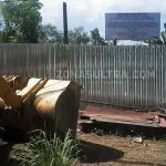 Eksekusi Lahan di Mandonga, 236 Personel Gabungan Disiagakan Eksekusi Lahan di Mandonga, 236 Personel Gabungan Disiagakan