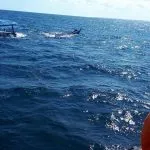 Kapal Rute Ereke-Tomia Timur Tenggelam, Tiga Penumpang Belum Ditemukan Kapal Rute Ereke-Tomia Timur Tenggelam, Tiga Penumpang Belum Ditemukan