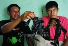 Begini Kisah Nelayan Temukan Paus yang Terdampar di Pesisir Laut Rumbia