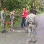 Peternak Sapi di Bombana Diminta Patuhi Aturan Peternak Sapi di Bombana Diminta Patuhi Aturan