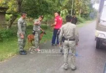 Peternak Sapi di Bombana Diminta Patuhi Aturan Peternak Sapi di Bombana Diminta Patuhi Aturan