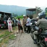 penertiban_ternak1
