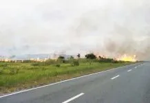 Kawasan Rawa Aopa Kembali Terbakar Kawasan Rawa Aopa Kembali Terbakar