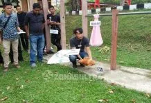 Karena Dendam, Pria di Bombana Tega Membunuh Bayi Karena Dendam, Pria di Bombana Tega Membunuh Bayi