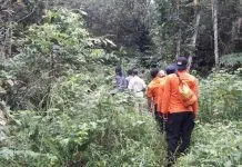 Pria Asal Baubau Dinyatakan Hilang di Kebunnya Pria Asal Baubau Dinyatakan Hilang di Kebunnya