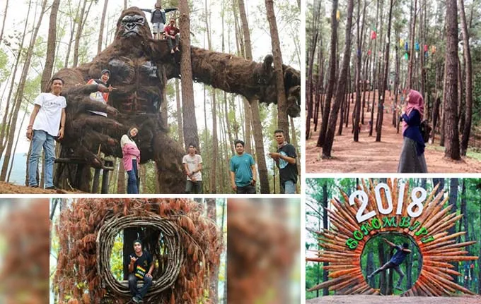 Puncak Sorombipi dan Ostar, Wisata Alam Koltim Serasa di Jogjakarta