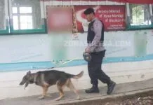 Telusuri Penanam Bayi di Kampus UHO, Polisi Turunkan Anjing Pelacak Telusuri Penanam Bayi di Kampus UHO, Polisi Turunkan Anjing Pelacak