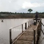 Bekas Penambangan Emas di Bombana Diubah Jadi Agrowisata Bekas Penambangan Emas di Bombana Diubah Jadi Agrowisata