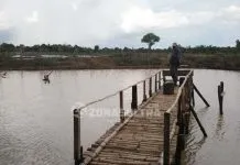 Bekas Penambangan Emas di Bombana Diubah Jadi Agrowisata Bekas Penambangan Emas di Bombana Diubah Jadi Agrowisata