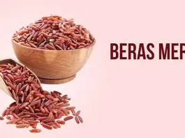 Bulog Siap Pasarkan Beras Merah Butur ilustrasi beras merah