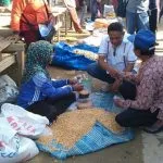 Blusukan di Muna, Berkah Prioritaskan Peningkatan Sarana Infrastruktur Pasar Blusukan di Muna, Berkah Prioritaskan Peningkatan Sarana Infrastruktur Pasar