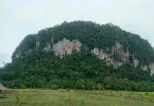 Misteri Kota Jin dan Harta Karun di Gunung Oheo Gunung Oheo