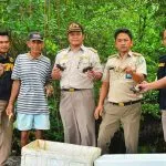 BKIPM Kendari Selamatkan 356 Ekor Kepiting Undersize BKIPM Kendari Selamatkan 365 Ekor Kepiting Tak Layak Ekspor