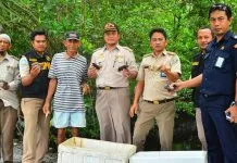 BKIPM Kendari Selamatkan 356 Ekor Kepiting Undersize BKIPM Kendari Selamatkan 365 Ekor Kepiting Tak Layak Ekspor