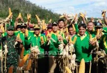 Panen Jagung, Ruksamin: Ini Bentuk Keseriusan Mendorong Perekonomian Daerah Panen Jagung, Ruksamin: Ini Bentuk Keseriusan Mendorong Perekonomian Daerah