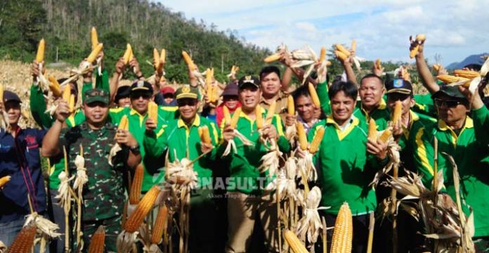 Panen Jagung, Ruksamin: Ini Bentuk Keseriusan Mendorong Perekonomian Daerah