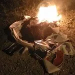 Pembakaran APK Asrun-Hugua, Tim Pemenangan Minta Polisi Tindak Tegas Pelaku Pembakaran APK Asrun-Hugua, Tim Pemenangan Minta Polisi Tindak Tegas Pelaku