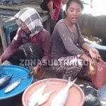 Dagangan Penjual Ikan di Wakatobi Ditendang Penagih Koperasi Dagangan Penjual Ikan di Wakatobi Ditendang Penagih Koperasi