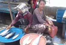 Dagangan Penjual Ikan di Wakatobi Ditendang Penagih Koperasi Dagangan Penjual Ikan di Wakatobi Ditendang Penagih Koperasi