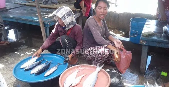 Dagangan Penjual Ikan di Wakatobi Ditendang Penagih Koperasi