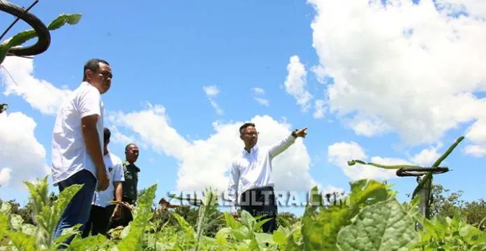 Peduli Pertanian, Pertamina Ubah Lahan Tidur di Lamomea Konsel Jadi Produktif