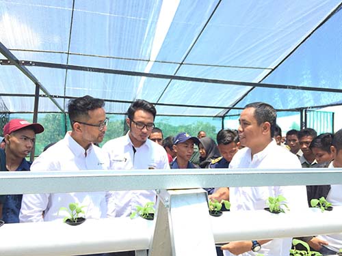 Peduli Pertanian, Pertamina Ubah Lahan Tidur di Lamomea Konsel Jadi Produktif