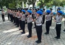 Polres Bombana Bina Siswa SD Jadi Polisi Cilik Polres Bombana Bina Siswa SD Jadi Polisi Cilik