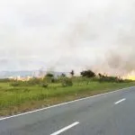 10 Hektar Lahan di Taman Nasional Rawa Aopa Watumohai Kembali Terbakar 10 Hektar Taman Nasional Rawa Aopa Watumohai Kembali Terbakar