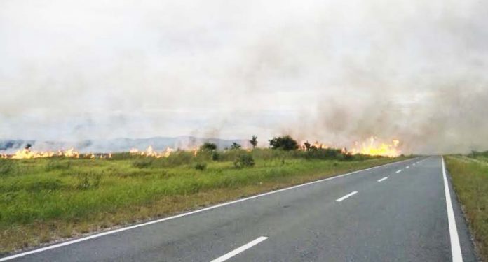 10 Hektar Taman Nasional Rawa Aopa Watumohai Kembali Terbakar